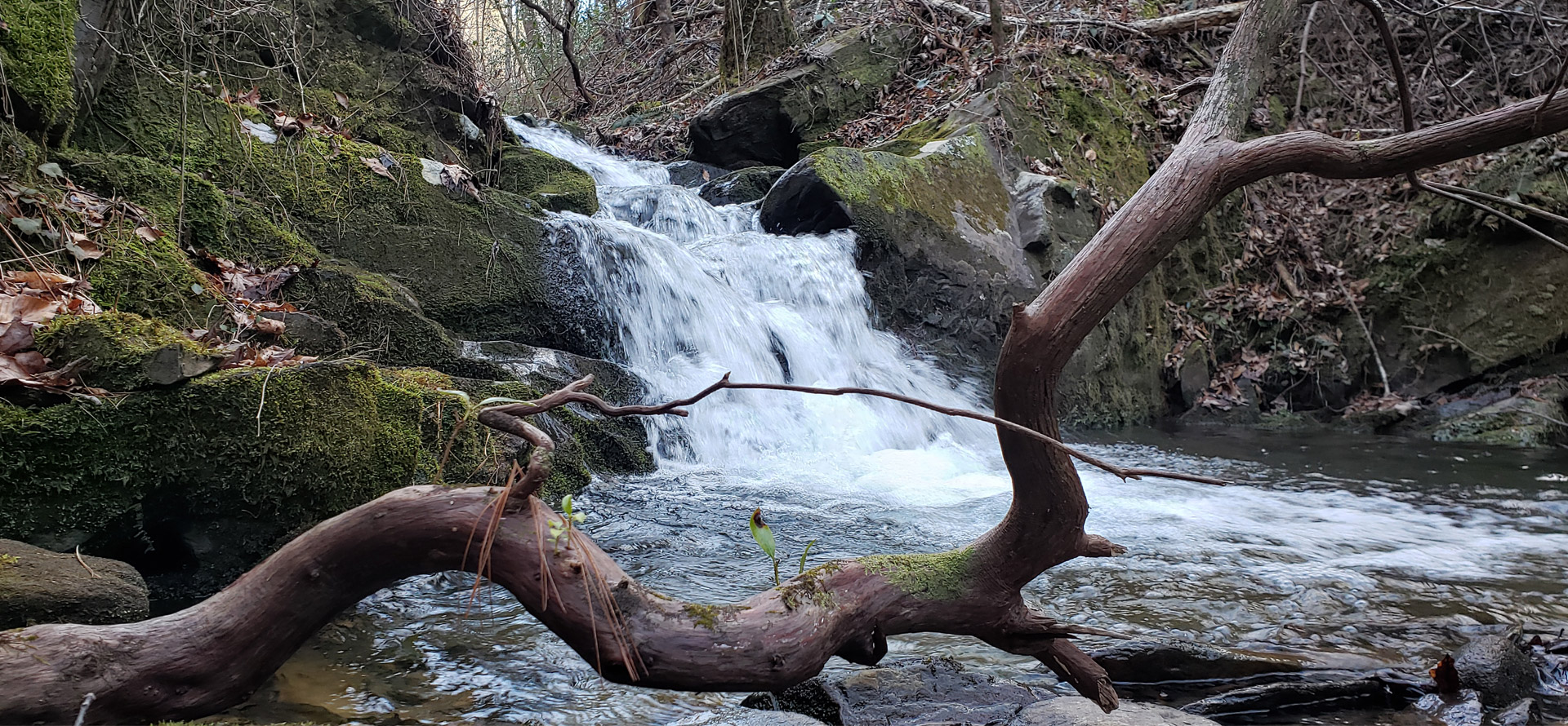 Talking Rock Creek Resort Association in Chatsworth, GA (4)