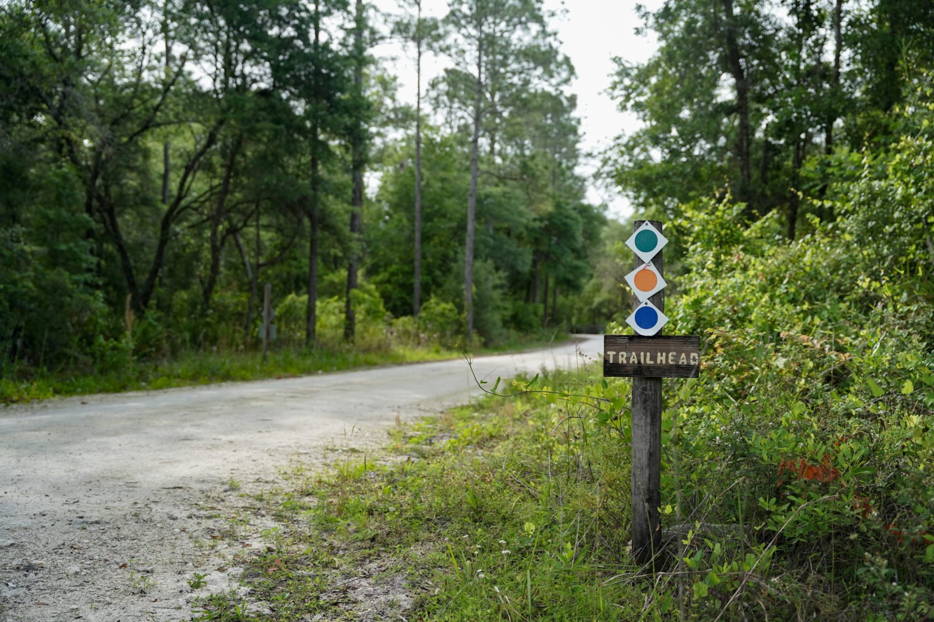 Black Prong Resort in Bronson, FL (4)