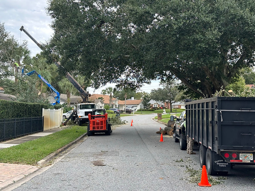 Trees for the Fallen, LLC in Osteen, FL