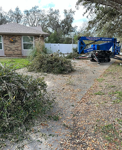 Trees for the Fallen, LLC in Osteen, FL (3)