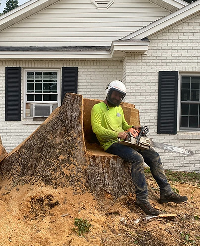 Trees for the Fallen, LLC in Osteen, FL (6)
