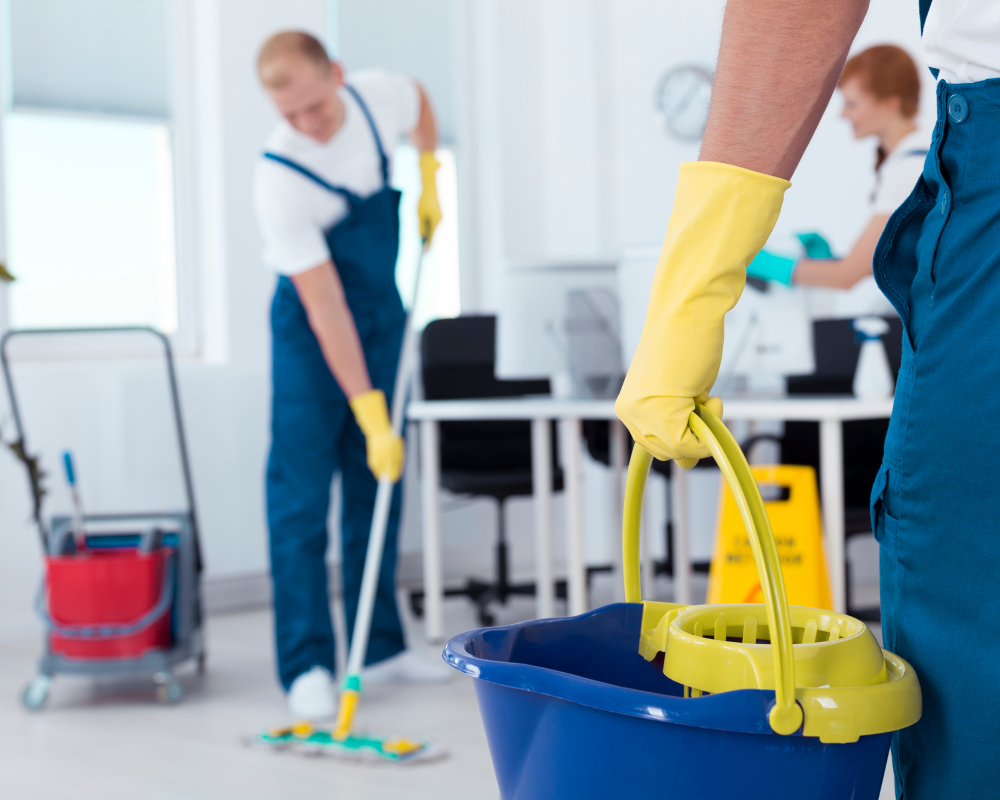 California Cleans in Elk Grove, CA (6)