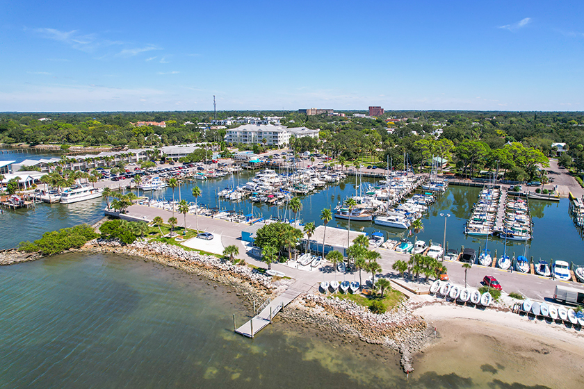 Chris Rogers Realtor - Home Dream Team Clearwater in Clearwater, FL