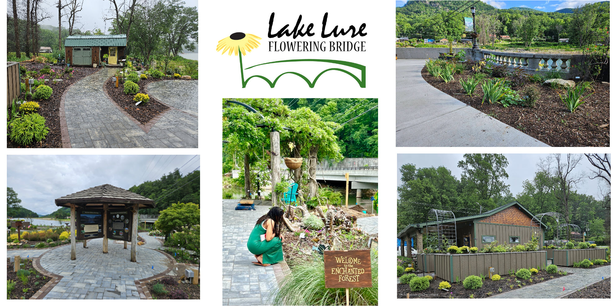 Lake Lure Flowering Bridge in Lake Lure, NC (4)