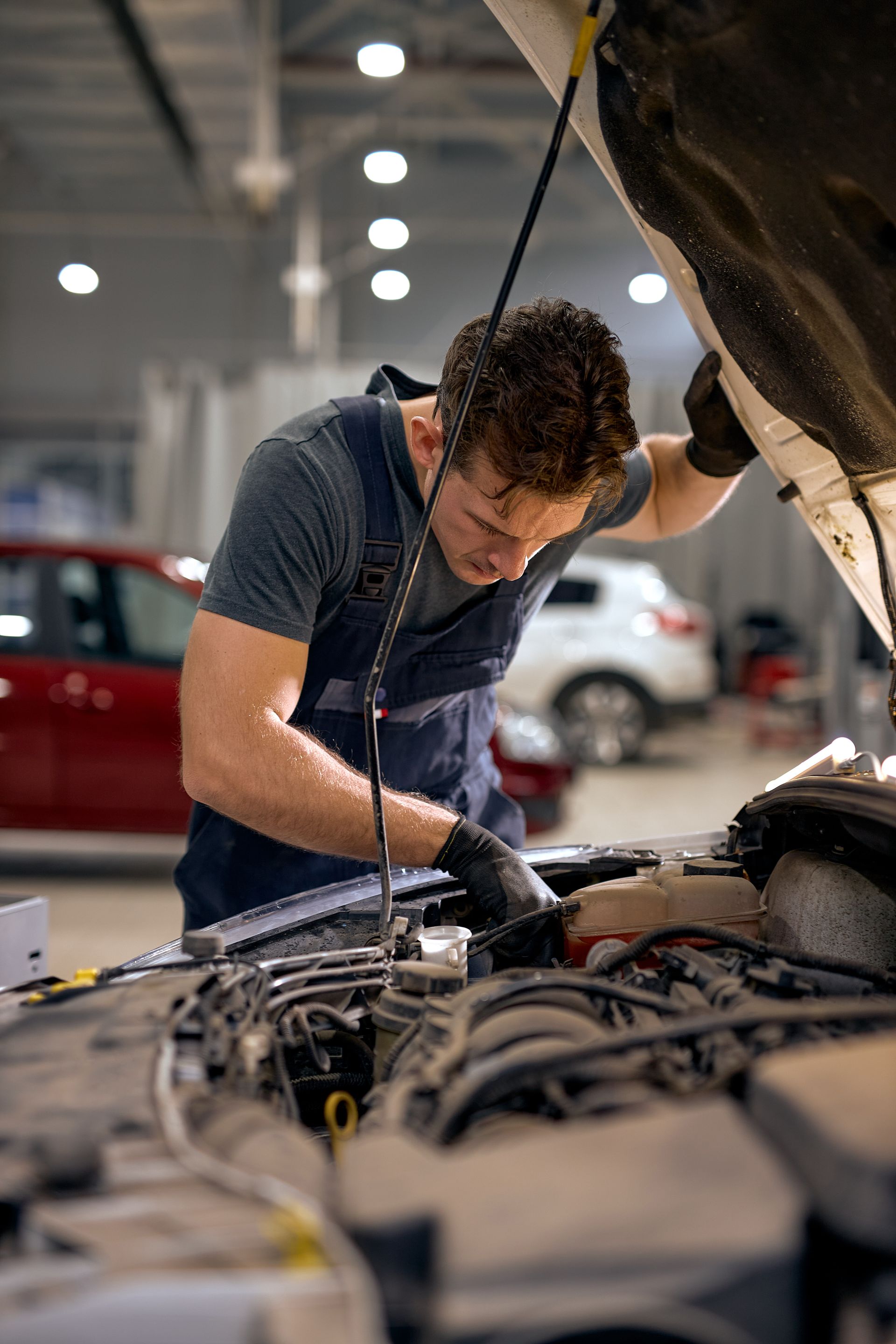 Rohnert Park Transmission and Auto Repair in Rohnert Park, CA