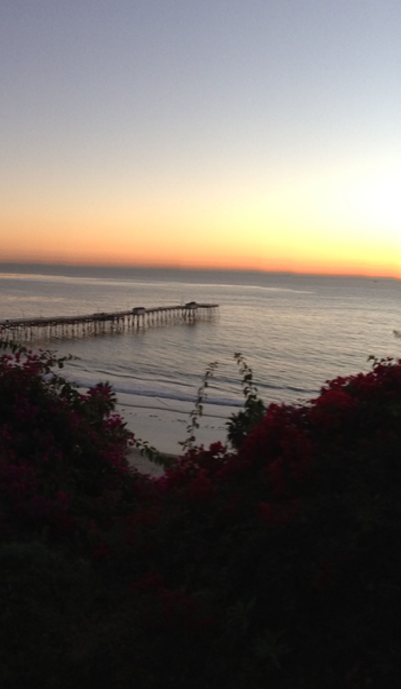 Hamm Bookkeeping & Accounting in San Clemente, CA