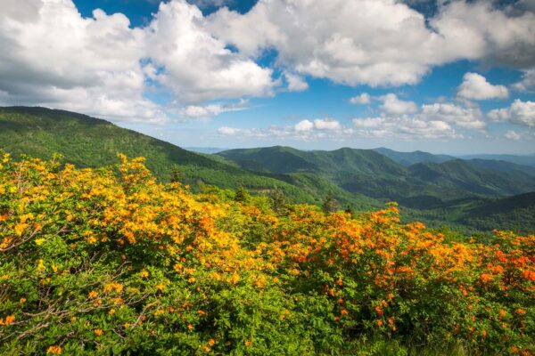High Country Realty of NC in West Jefferson, NC (4)