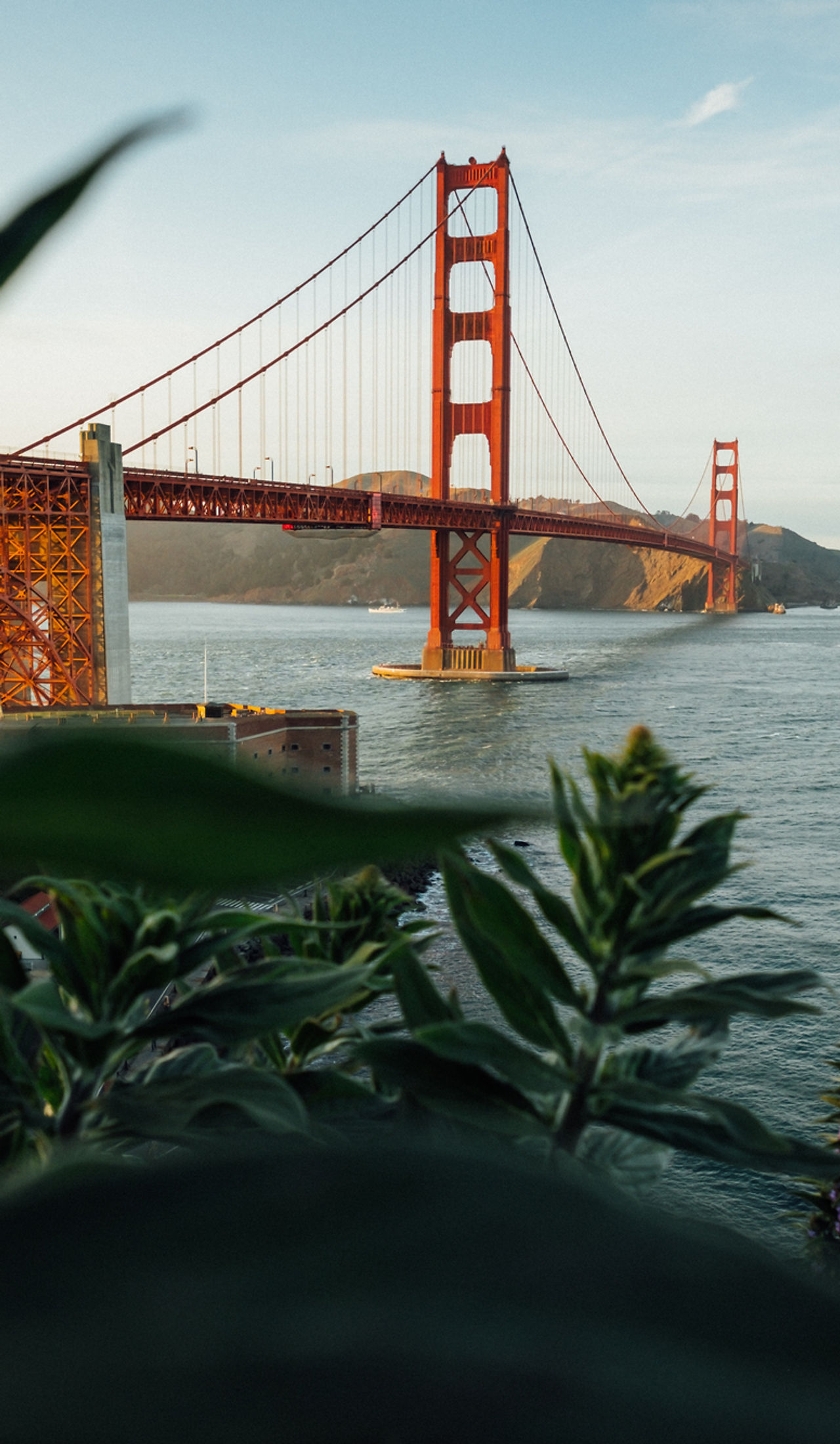 Mitchell Law Group in Benicia, CA