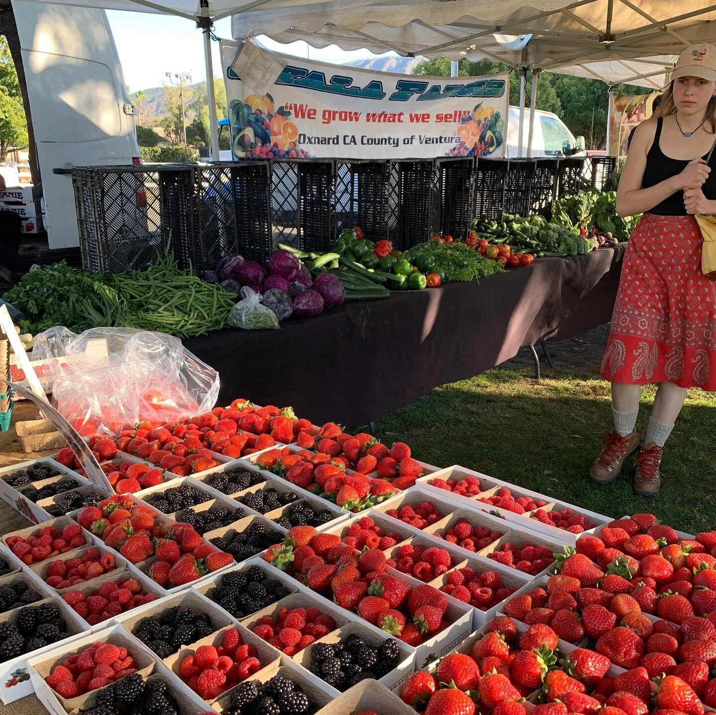 Ojai Community Farmers' Market in Ojai, CA