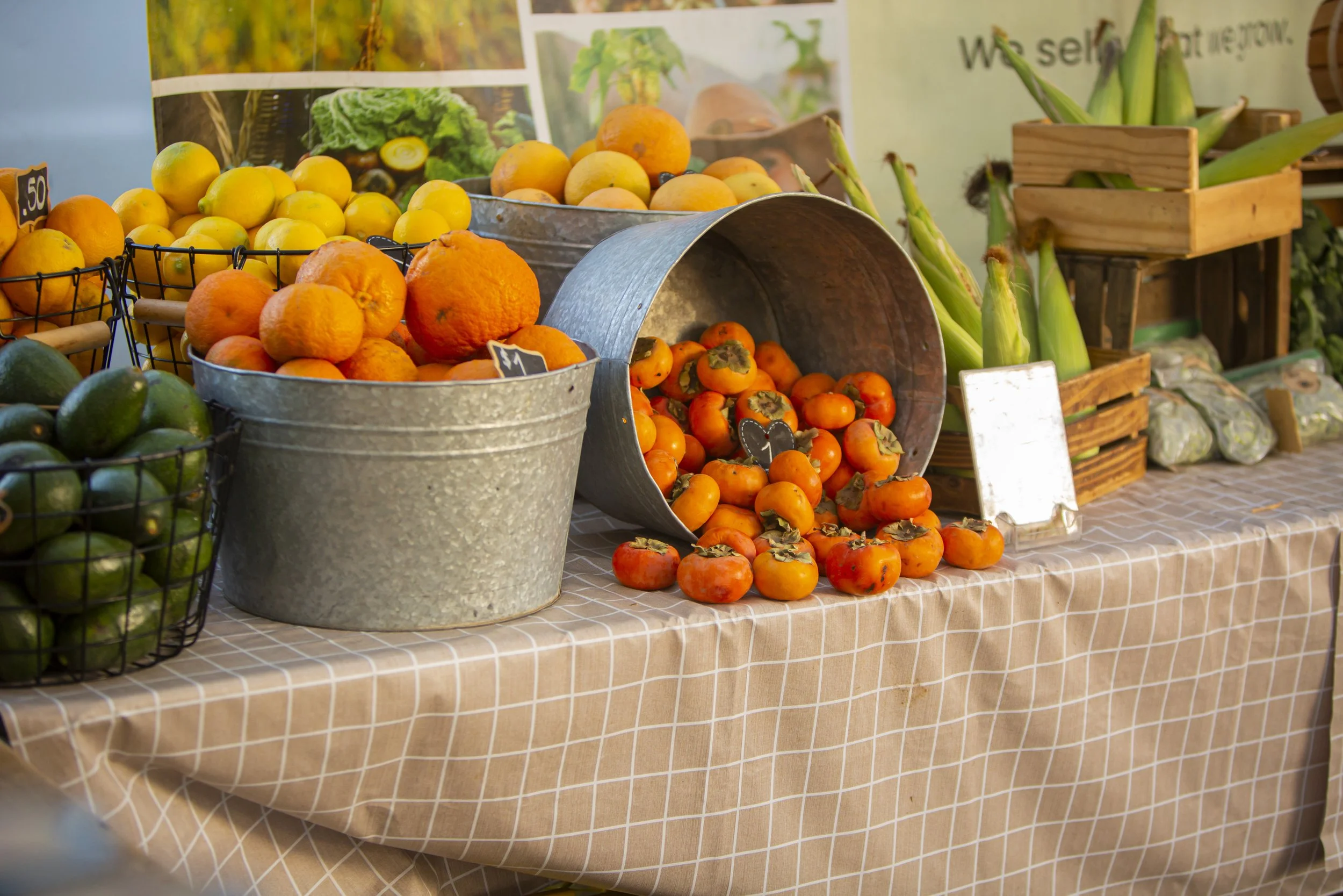 Ojai Community Farmers' Market in Ojai, CA (2)