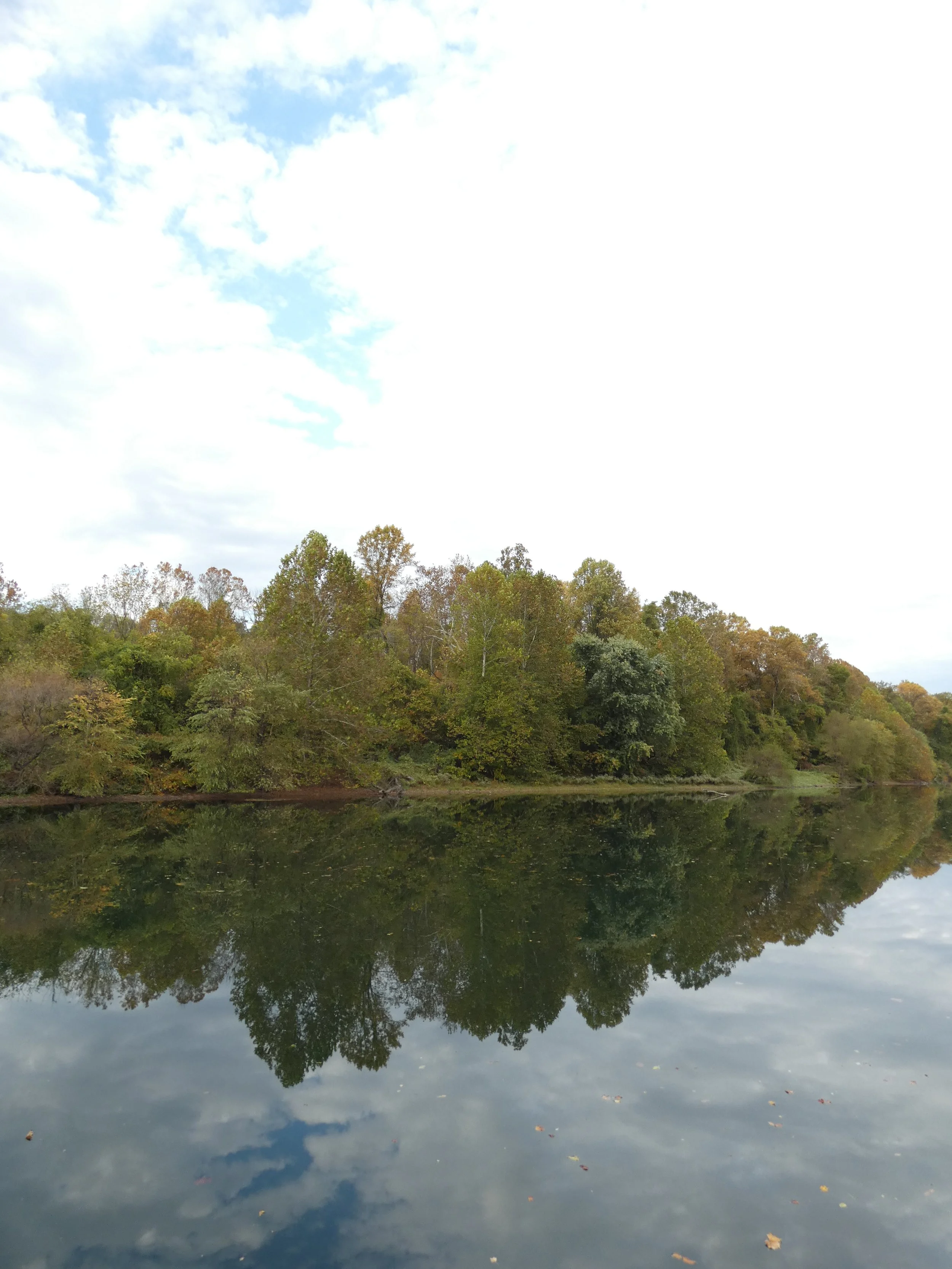 Schlegel Tax Services LLC in Leesport, PA (2)