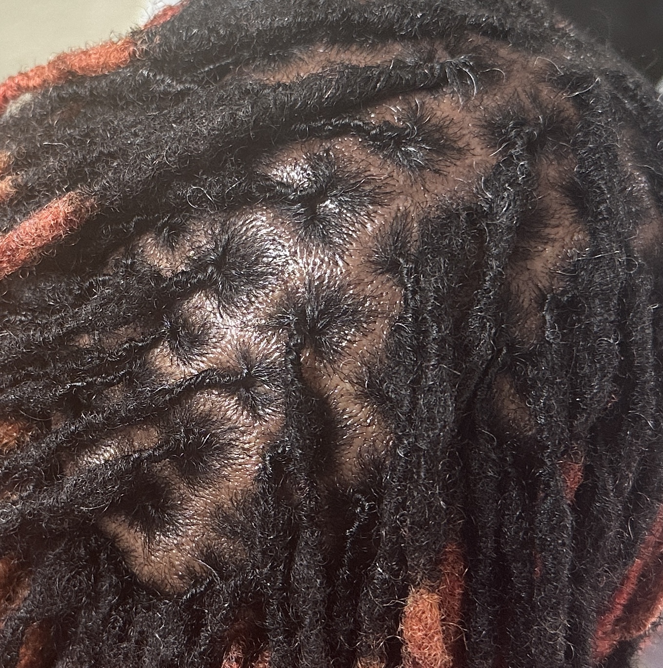 Locs, Coils & Kinks LLC in Mt Vernon, NY (3)
