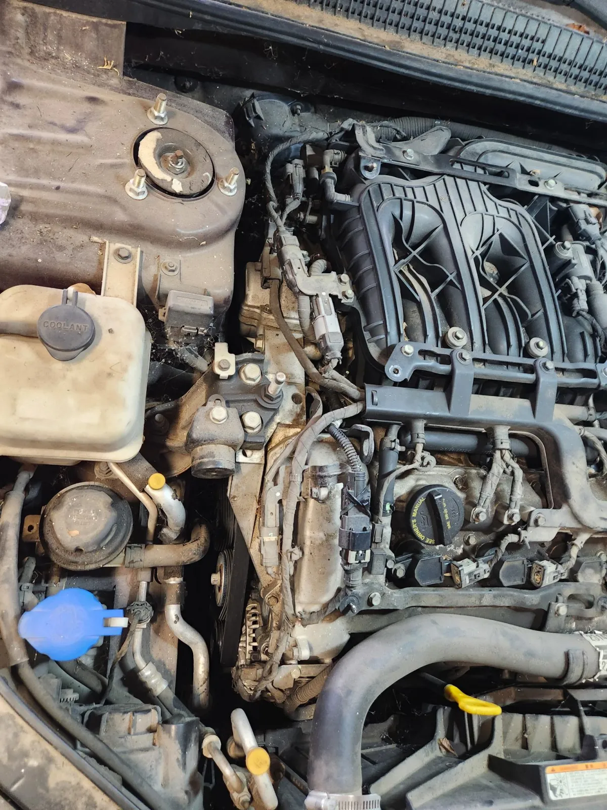 Prime Automotive Repair LLC in Kerrville, TX (4)