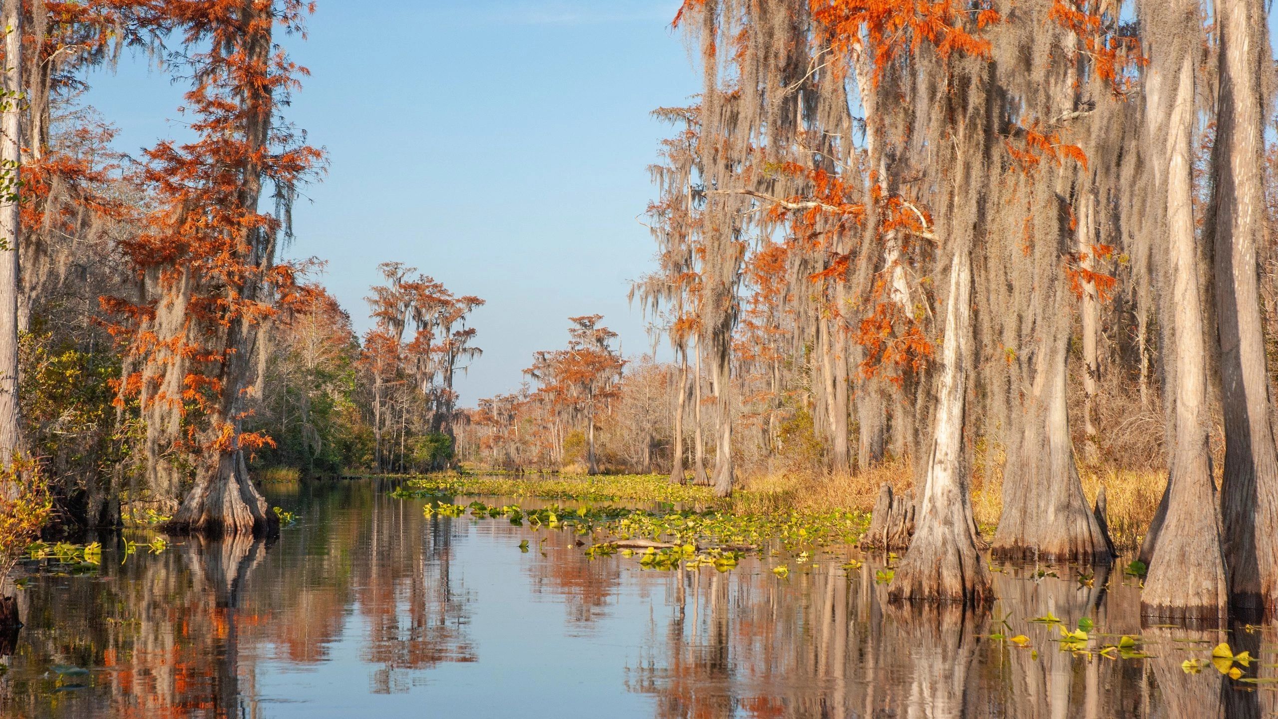 Johns Realty Company in Nahunta, GA