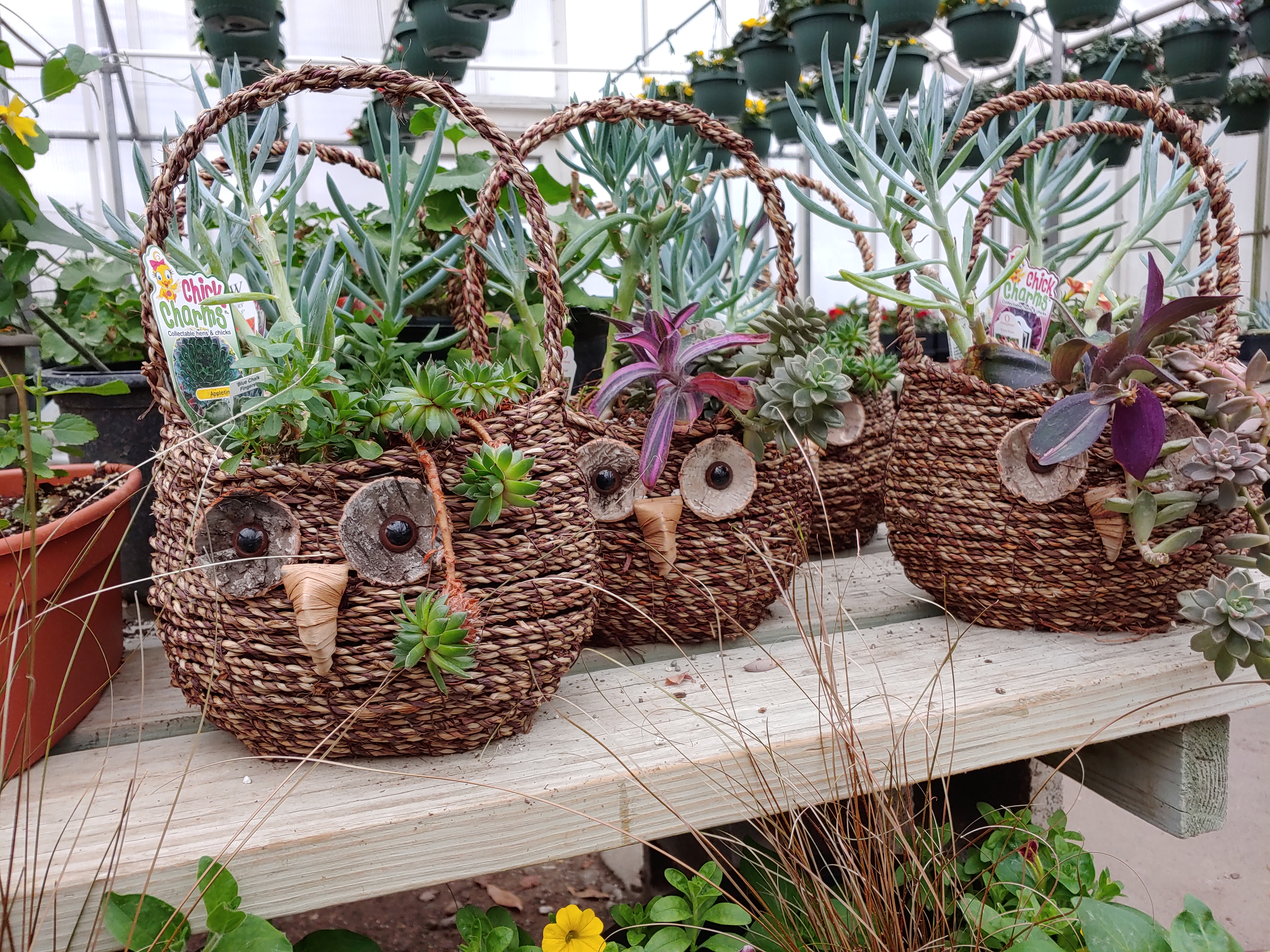 Dayton Flower & Garden Center in Norton, OH