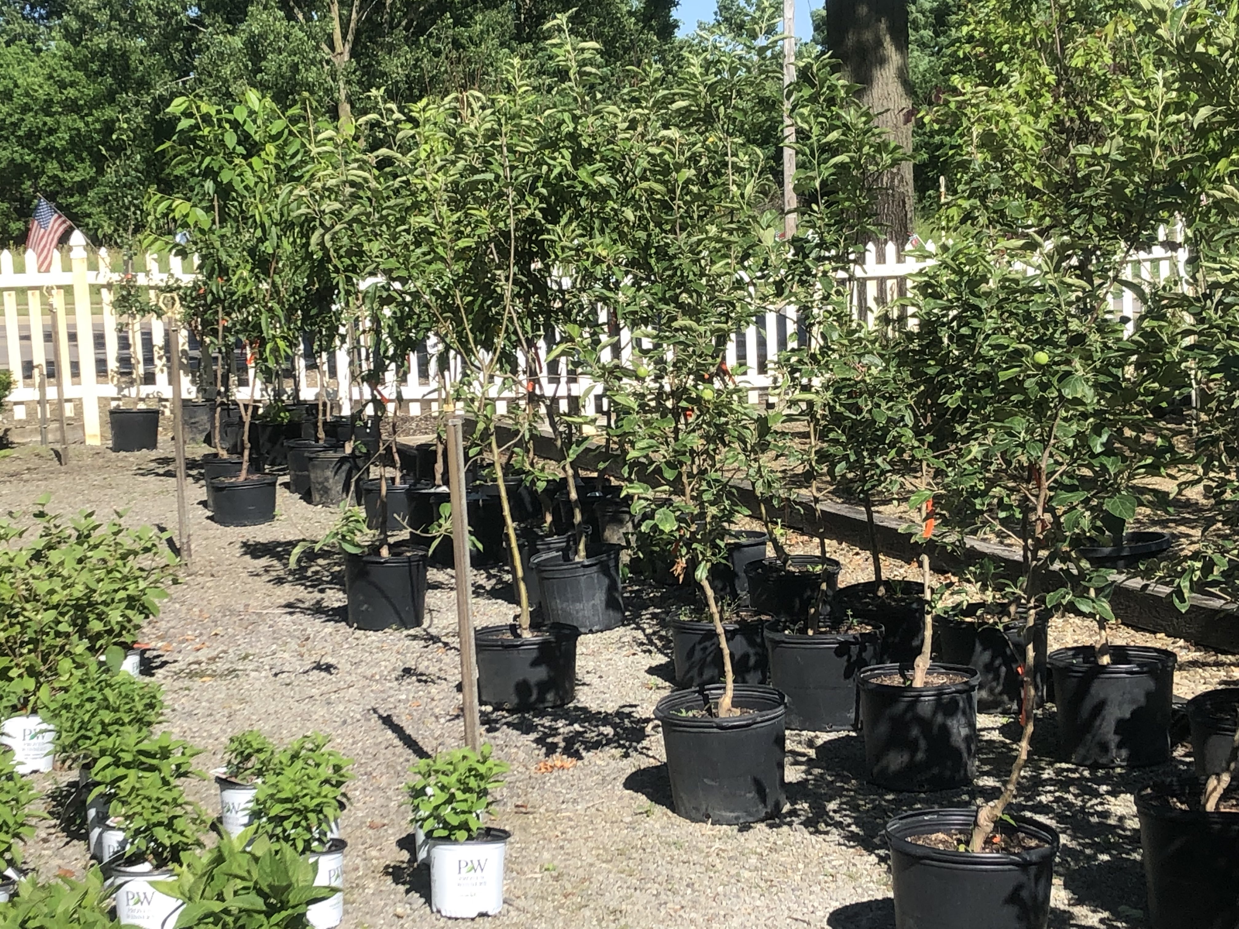 Dayton Flower & Garden Center in Norton, OH (3)