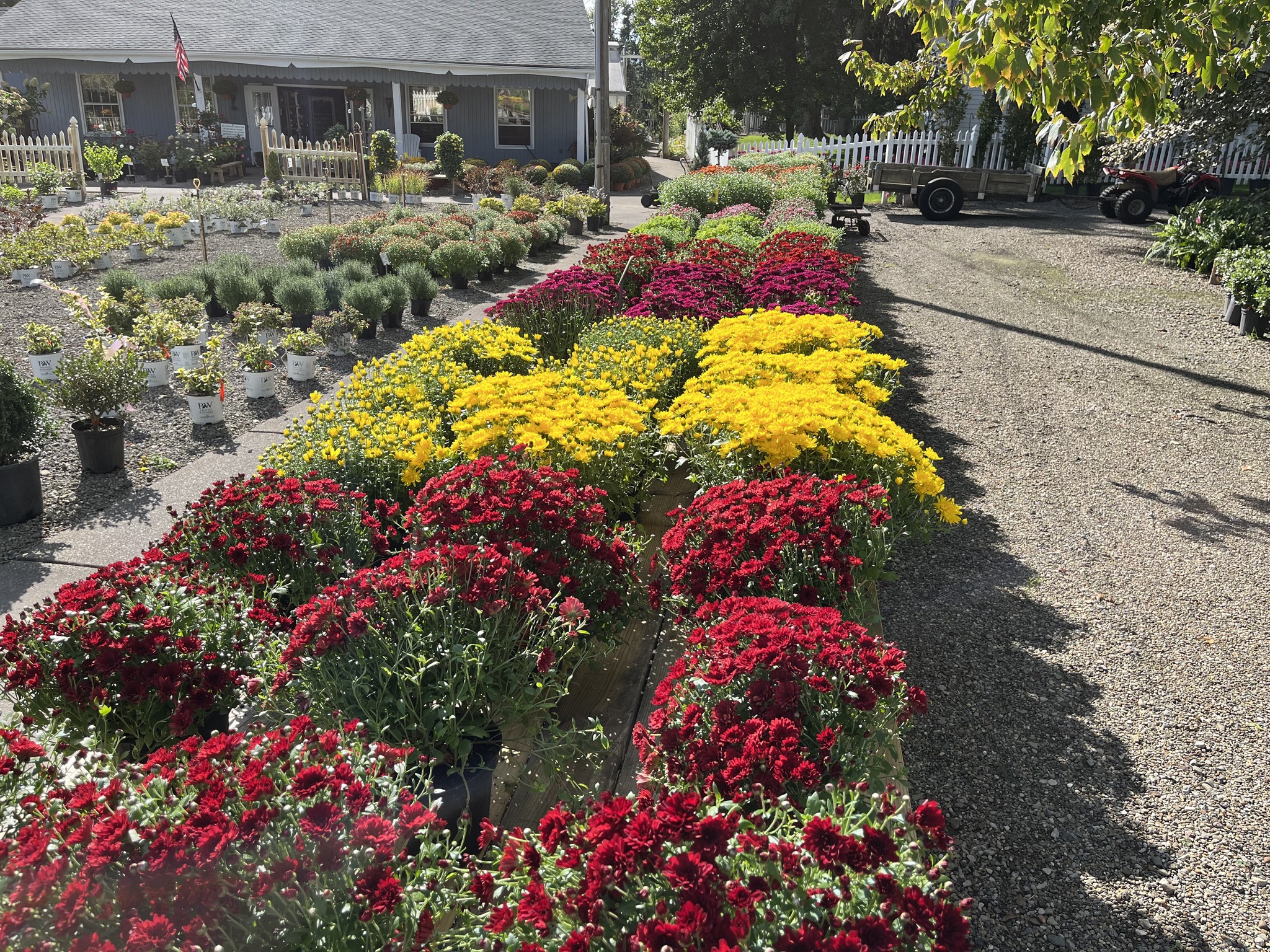 Dayton Flower & Garden Center in Norton, OH (5)