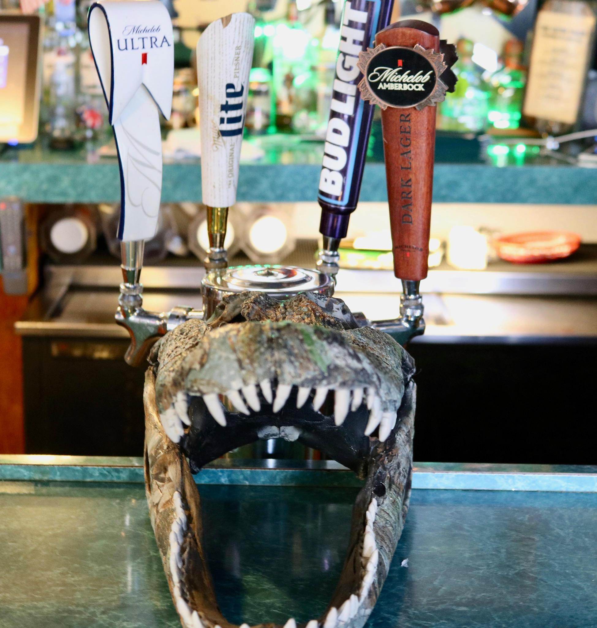 The Gator Shack in Sebring, FL (2)