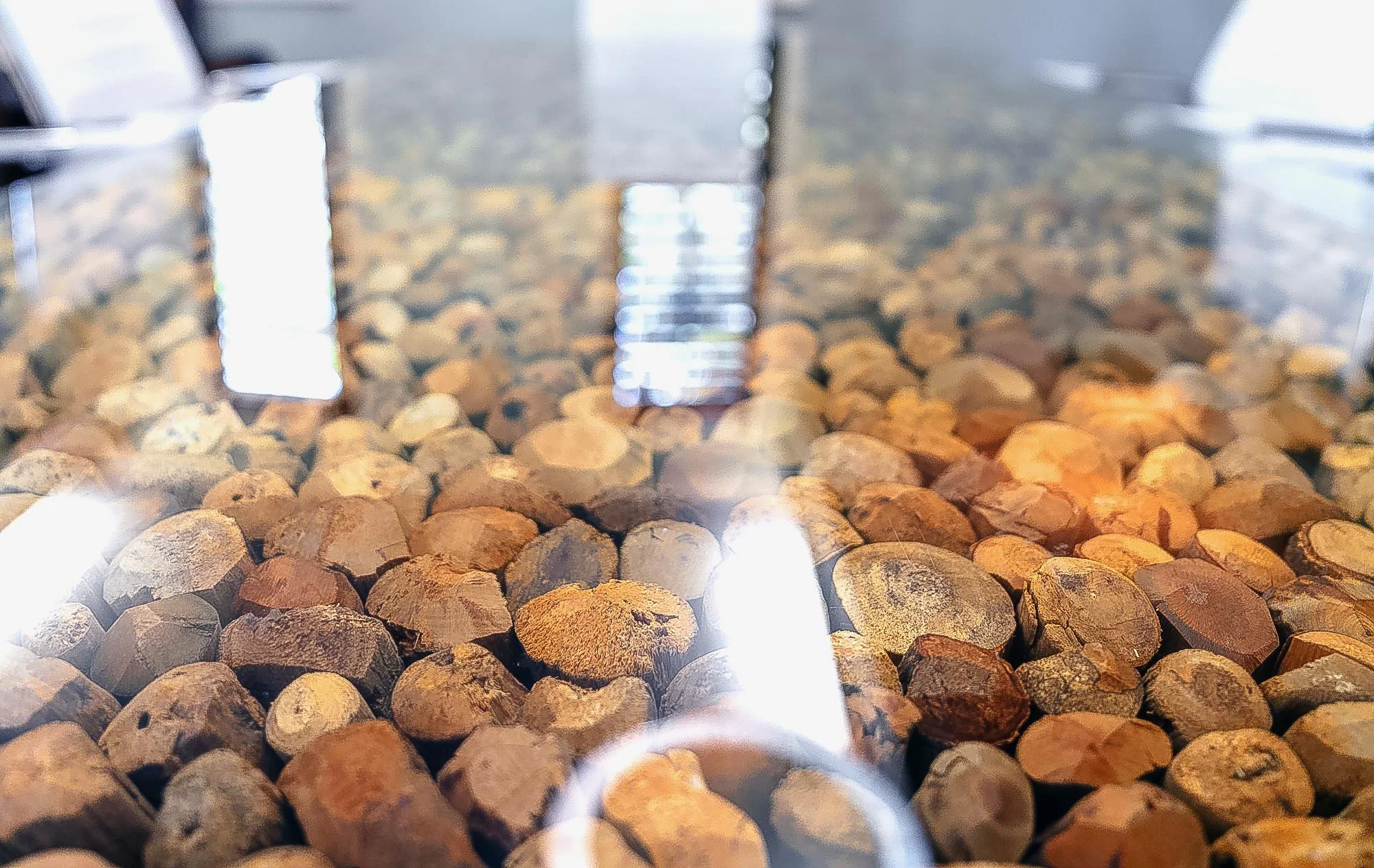 McGill Law Firm, LLC in Pawleys Island, SC (4)