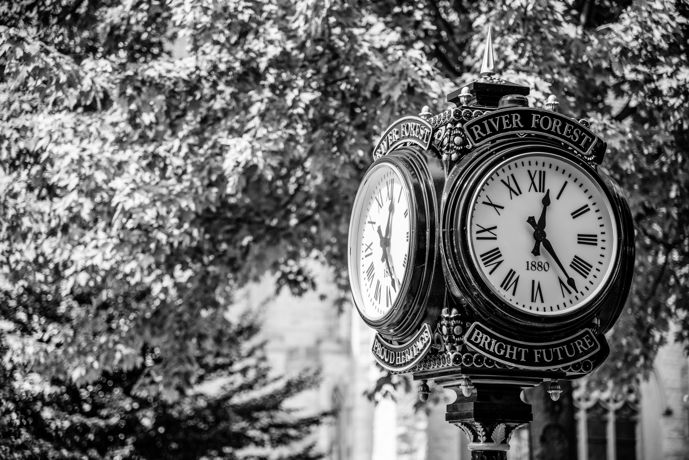 Thomas J Dwyer & Associates in River Forest, IL