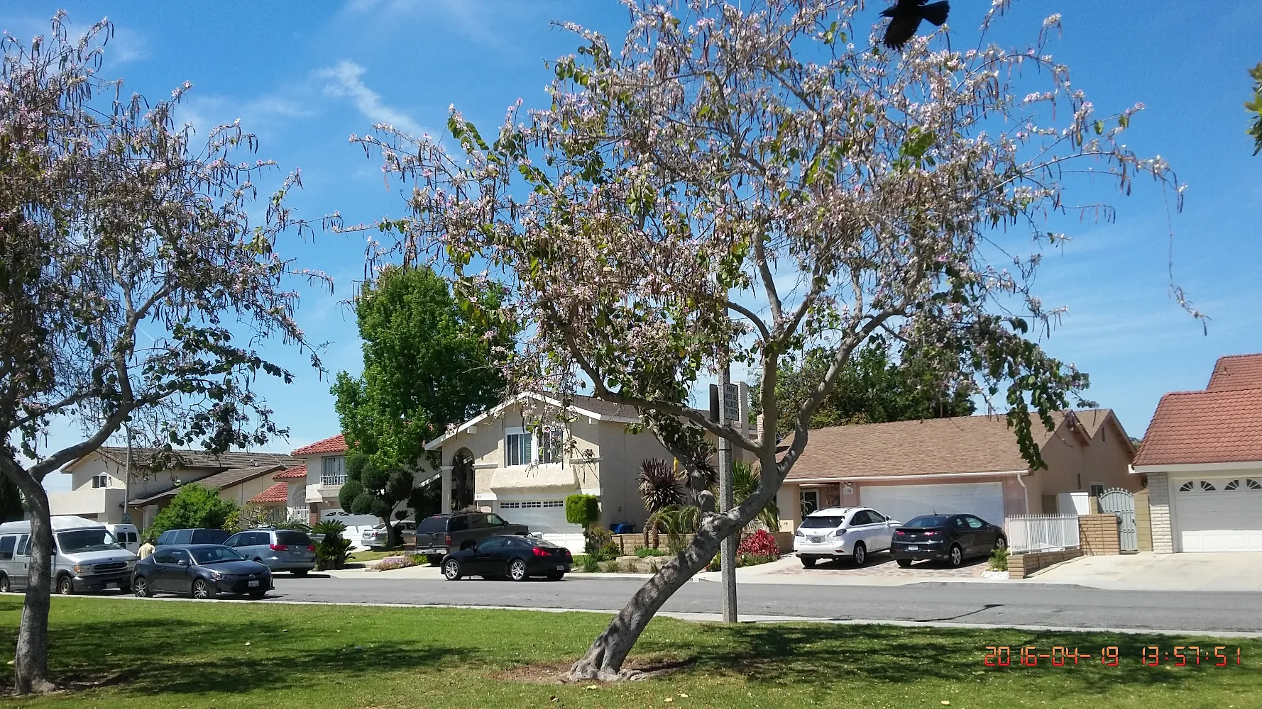 Seven Gables Real Estate in Tustin, CA (6)