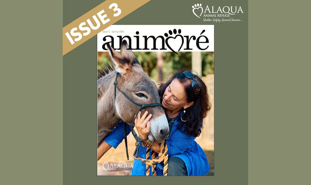 Alaqua Animal Refuge in Freeport, FL (4)