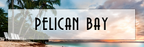 Renee Hahn | Alfred Robbins Realty Group in Naples, FL (6)