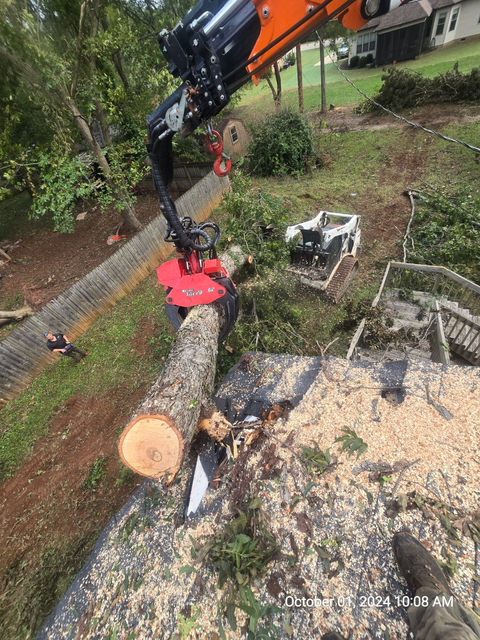 Lark Tree Service, LLC in Southmont, NC (2)
