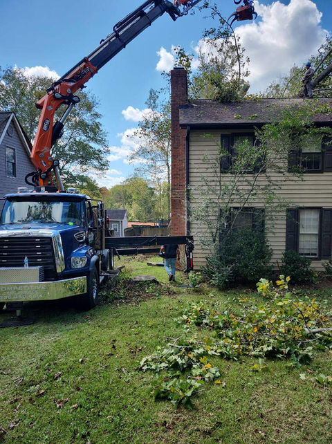 Lark Tree Service, LLC in Southmont, NC (3)