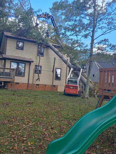 Lark Tree Service, LLC in Southmont, NC (4)