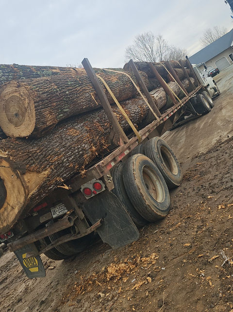 Lark Tree Service, LLC in Southmont, NC (5)