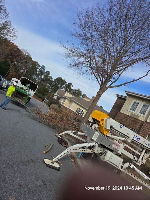 Lark Tree Service, LLC in Southmont, NC (6)