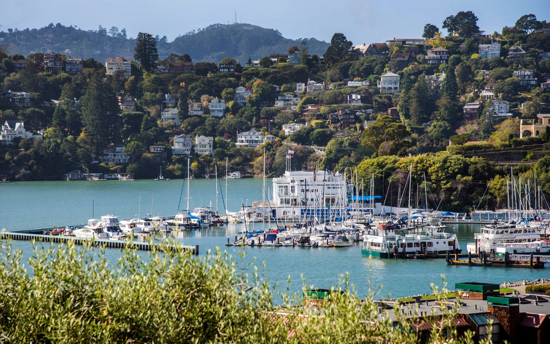 Sally Williamson Real Estate in Belvedere Tiburon, CA