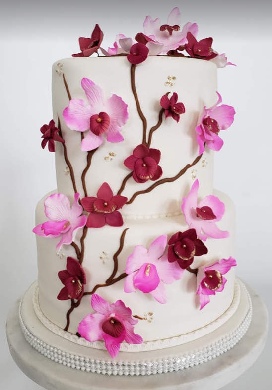Panchis Bakery CAKE IN A DAY in Fort Lauderdale, FL