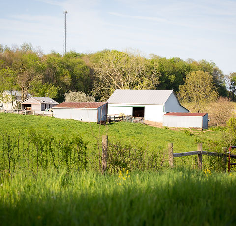 Nicole Feilon, Attorney at Law, LLC in Bellville, OH (2)
