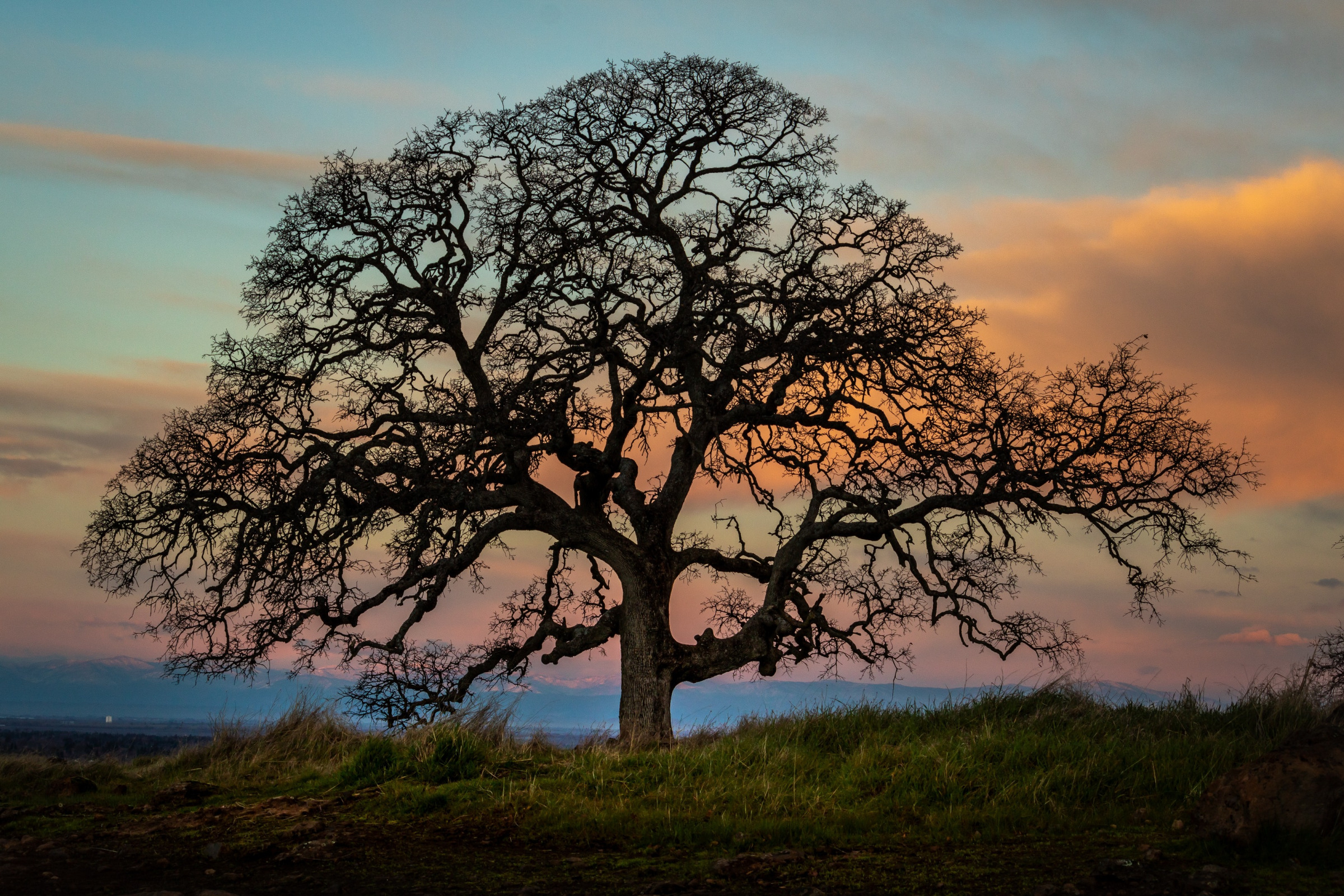Willingham Accounting in Chico, CA