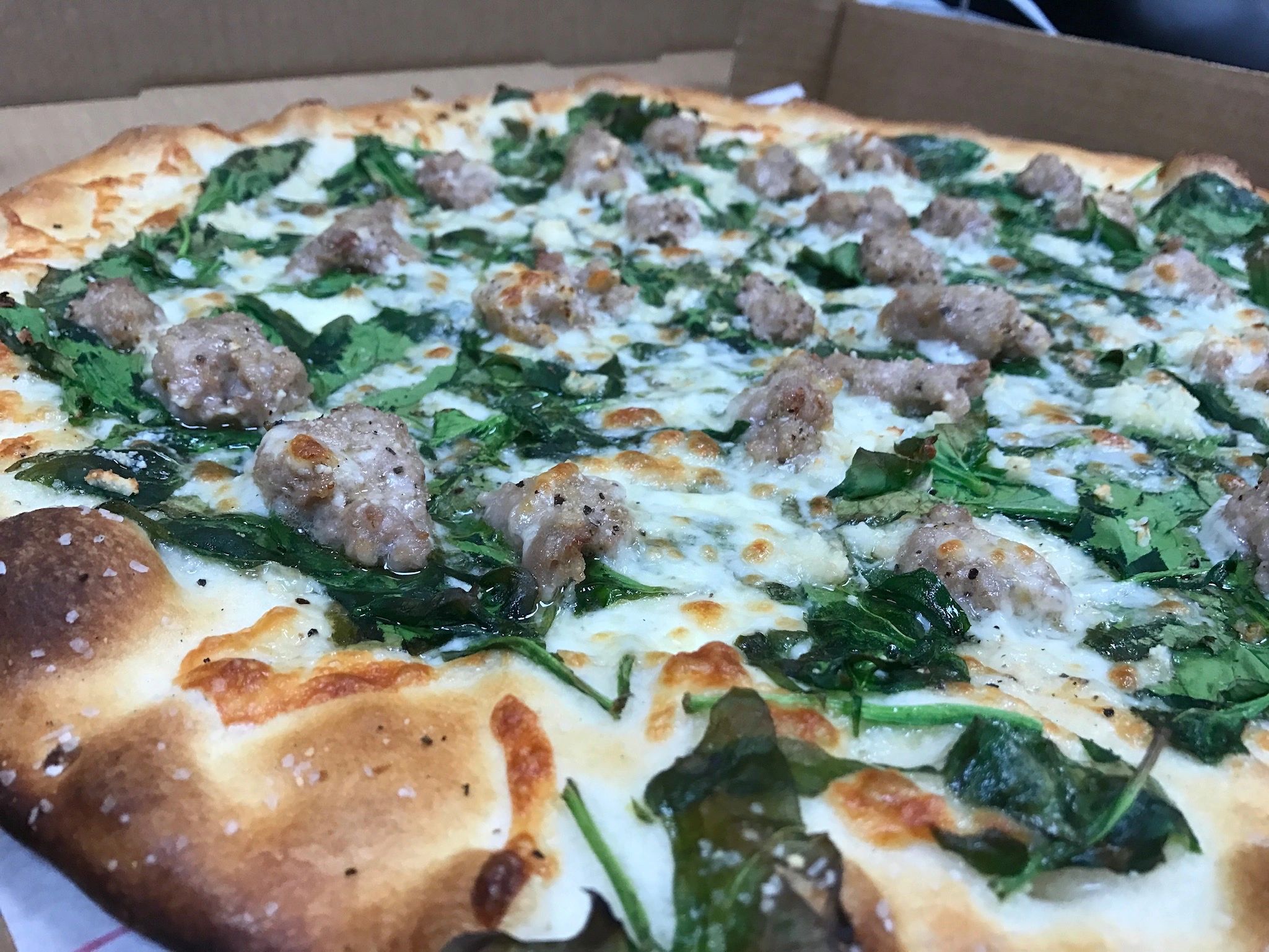 DeLorenzo's The Burg in Levittown, PA