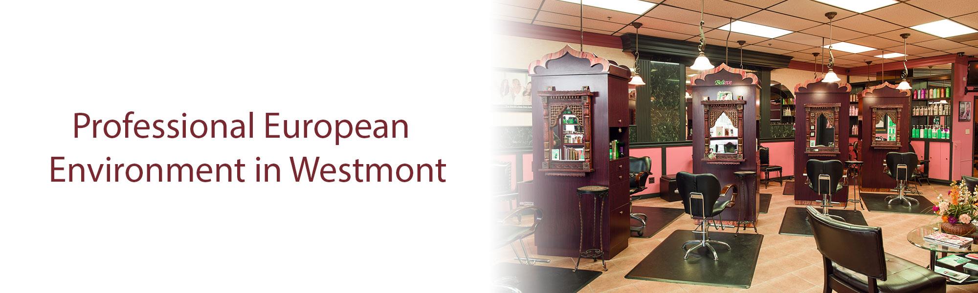 Natural Look Salon & Spa in Westmont, IL