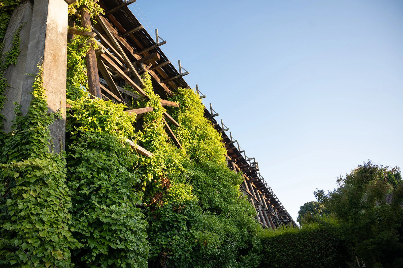 Trestles Restaurant in Capitola, CA (2)