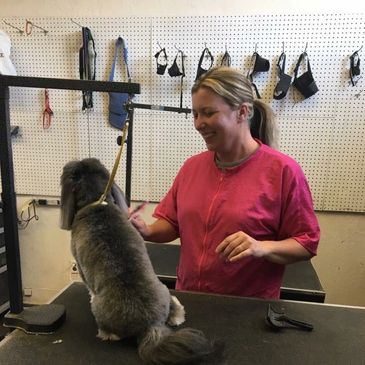 Dog Wash of Tahoe in South Lake Tahoe, CA (2)
