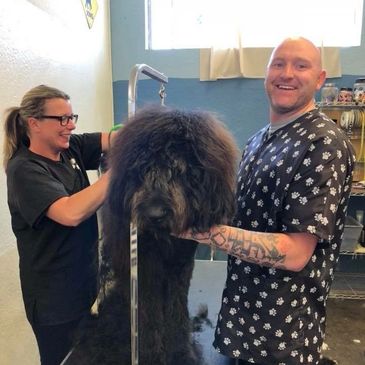 Dog Wash of Tahoe in South Lake Tahoe, CA (3)