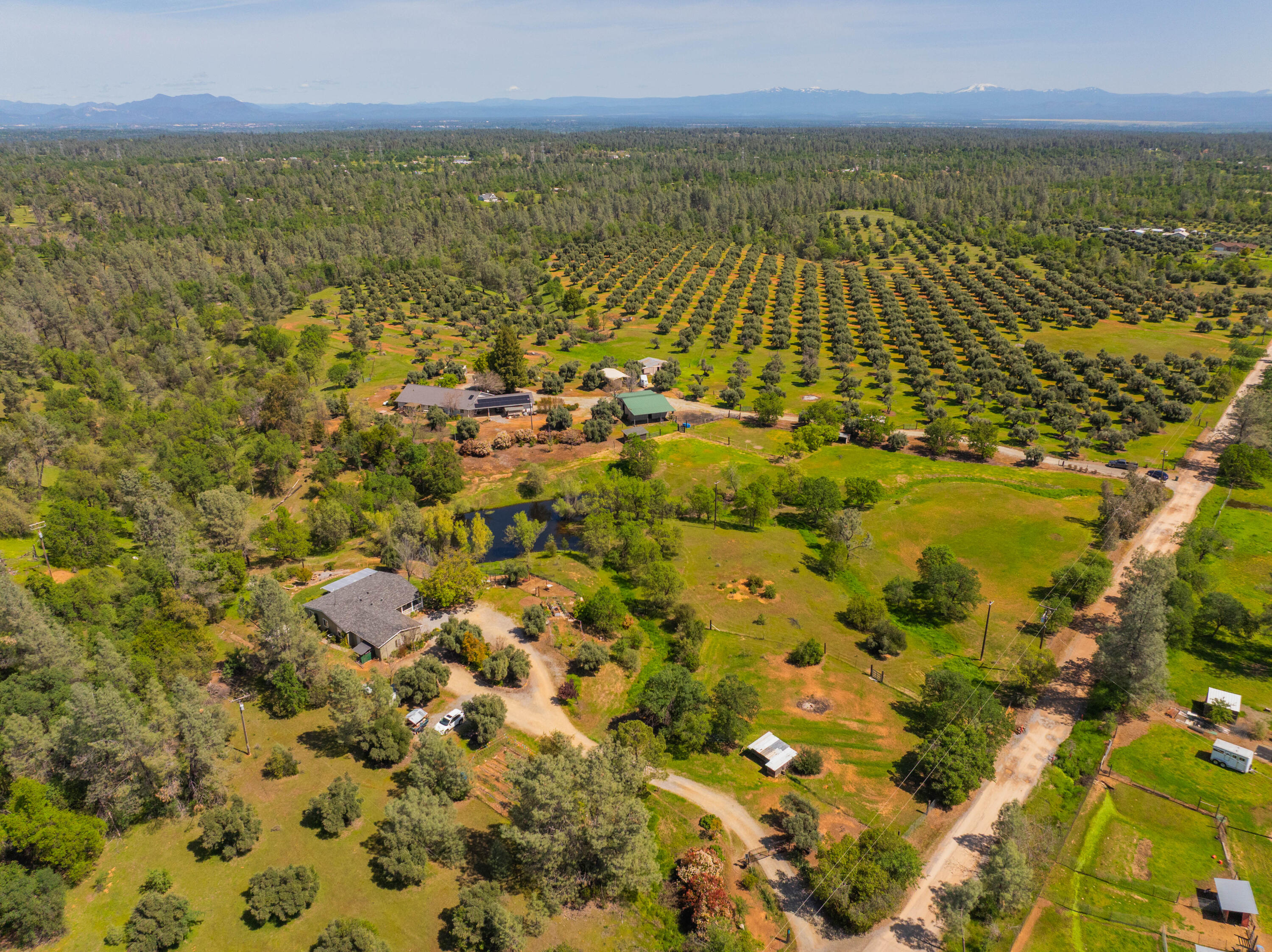Tasha Price Realty in Redding, CA