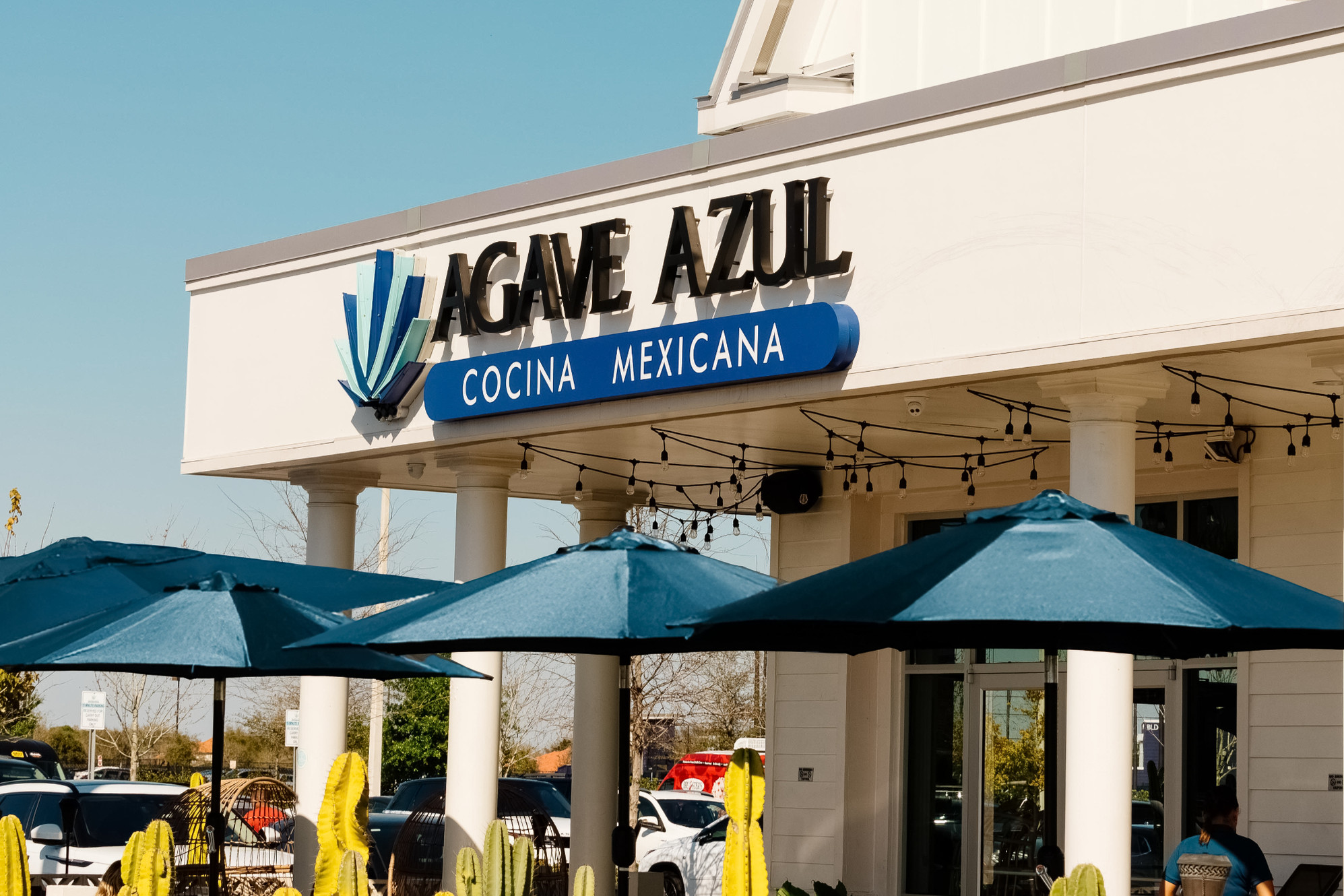 Agave Azul Windermere in Windermere, FL