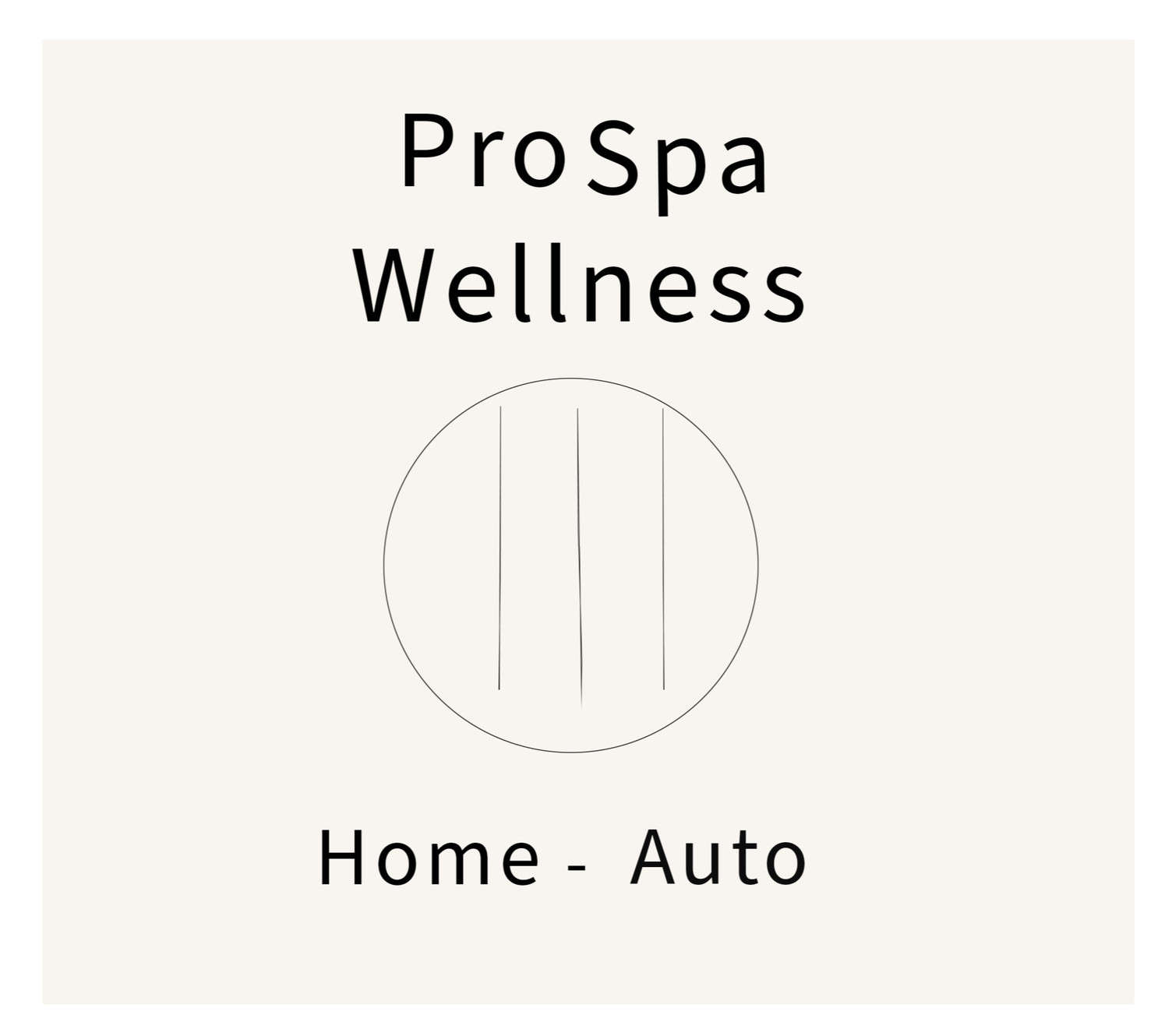 Pro Auto Spa Mobile Detailing in Pembroke Pines, FL (2)