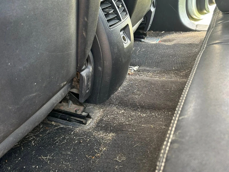 Vankham Mobile Detailing in Stryker, OH (3)