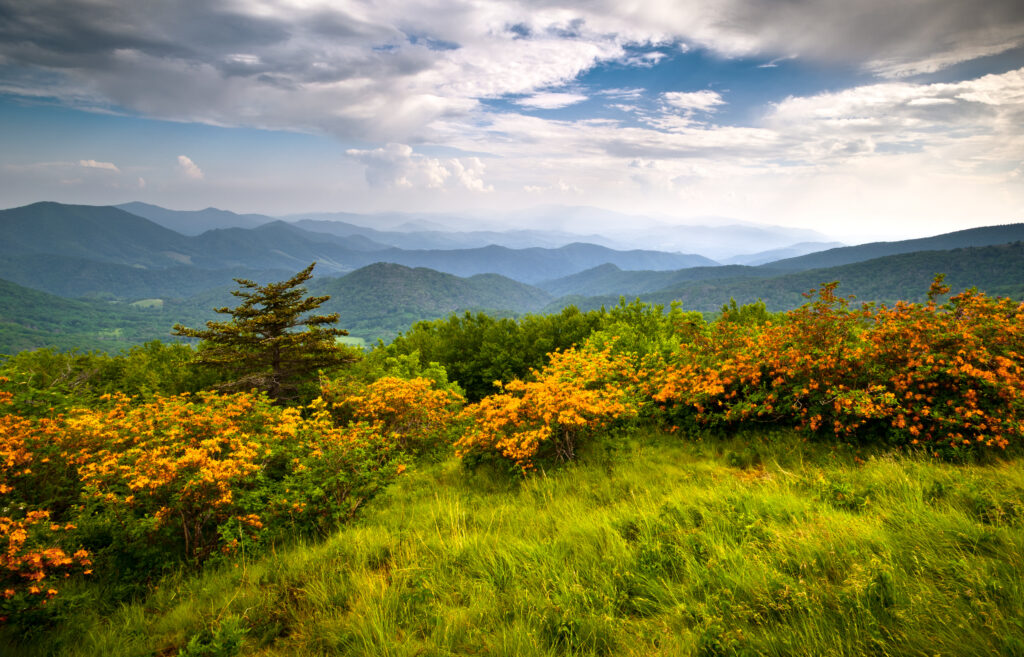 Blevins Mary in Burnsville, NC (5)