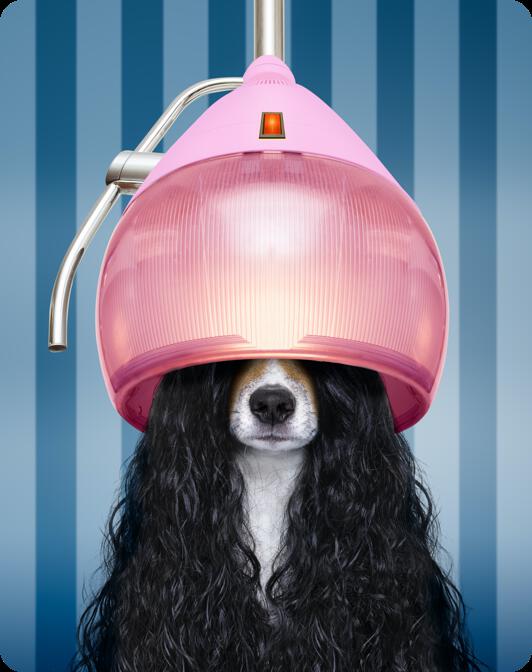 Beauty Depot Salon in Blue Ridge, GA