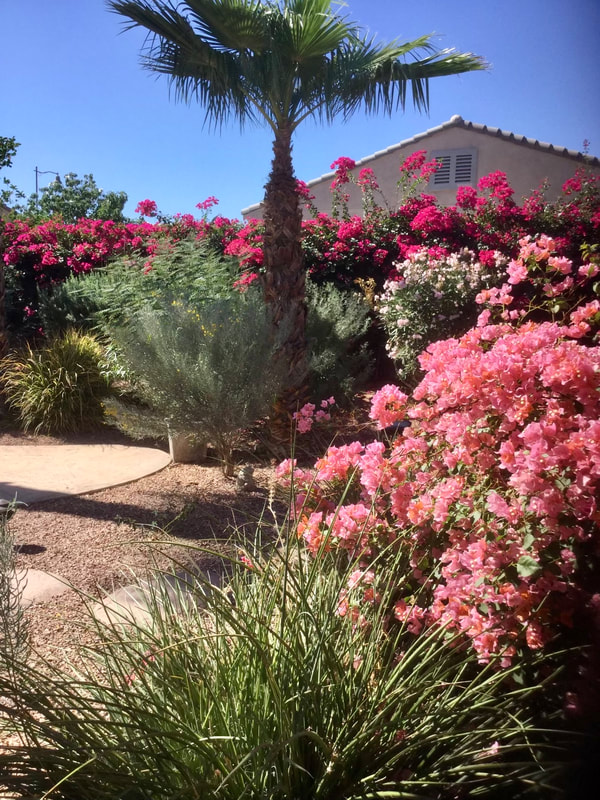 The Brownson Group Real Estate in Indio, CA