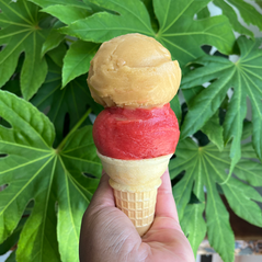 Ebony's Ice Cream in Twinsburg, OH
