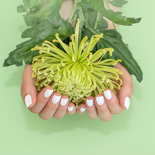 Victory Nails Lounge in Savannah, GA (5)